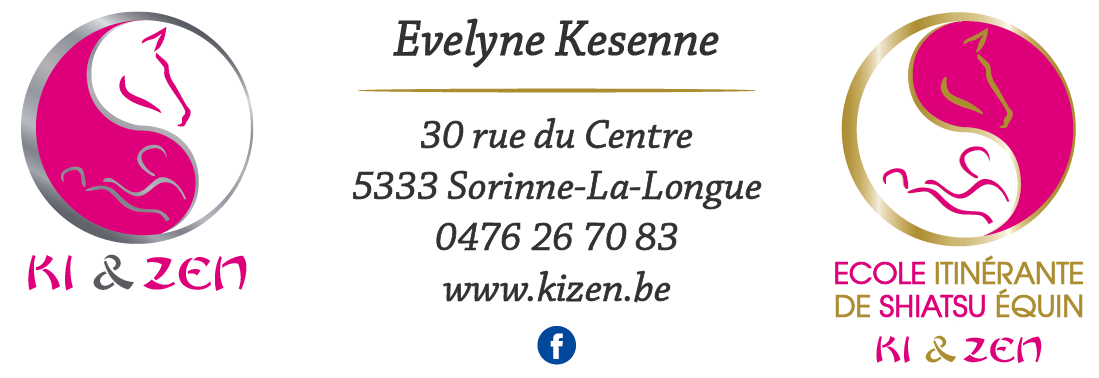 Ecole Itinérante de Shiatsu Equin