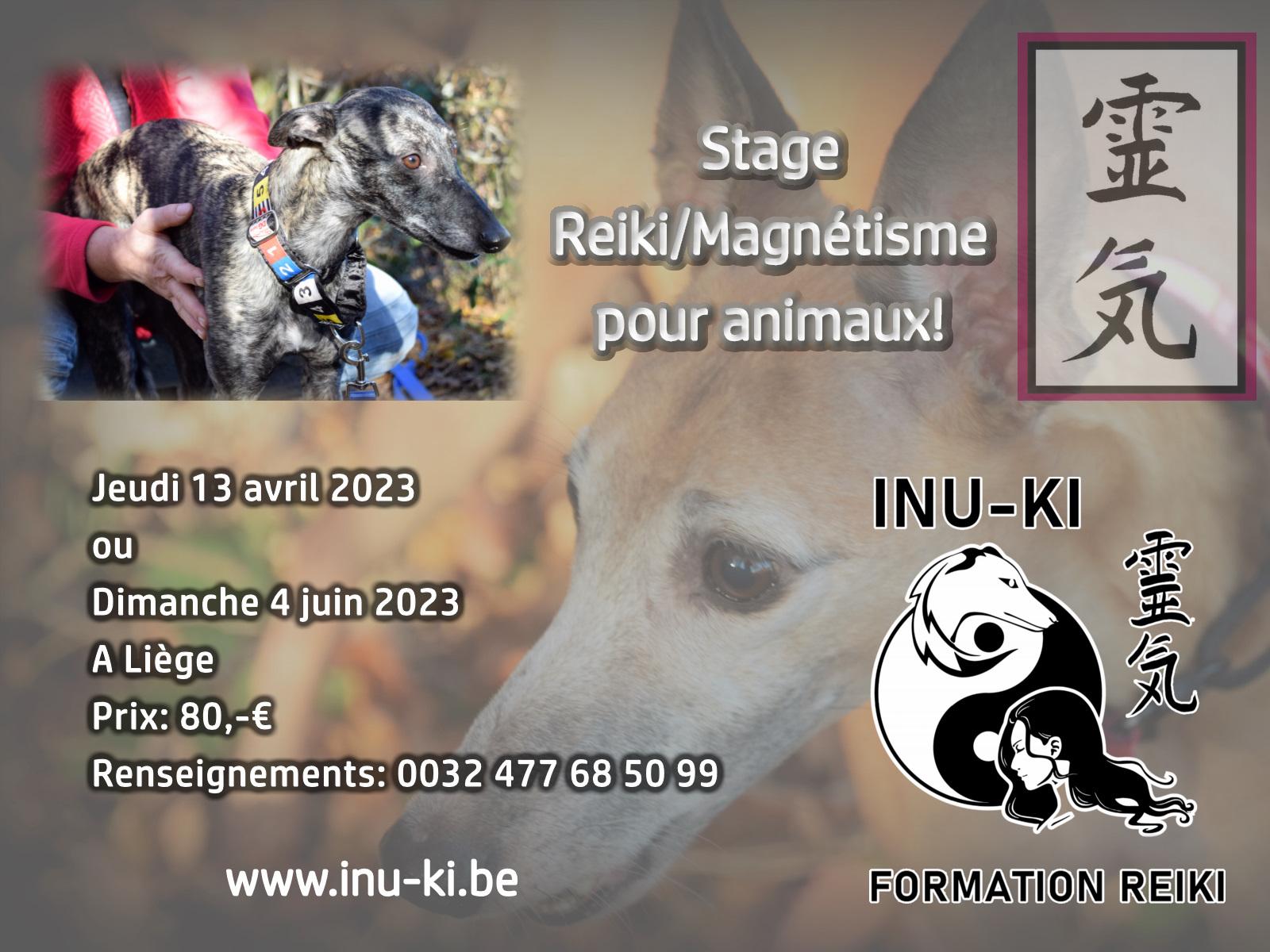 Stage reiki animaux 3