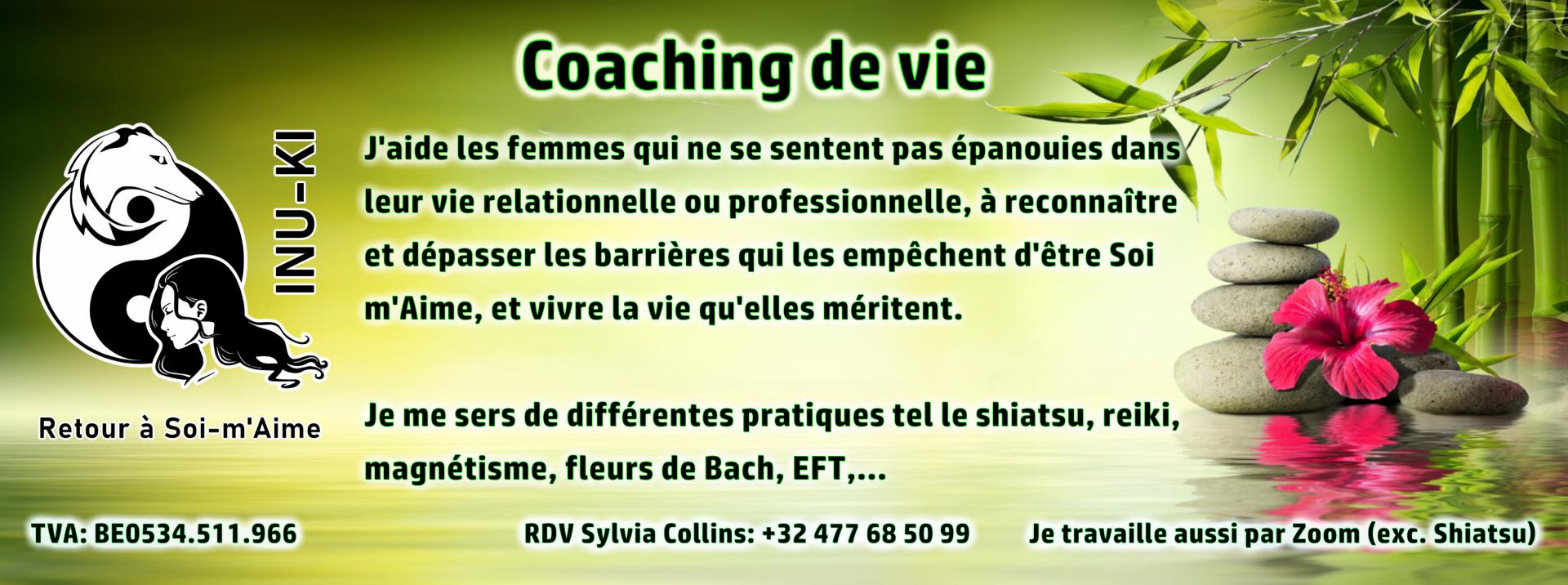 Banniere coaching