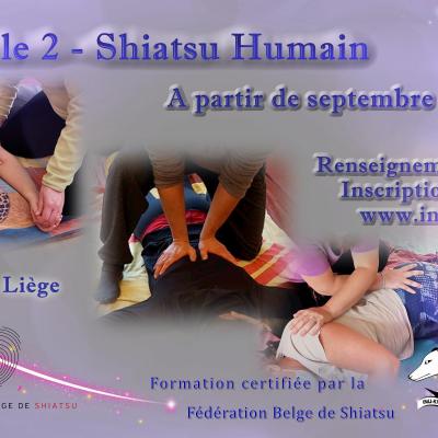 Formation shiatsu humain cycle 2