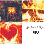 Feu