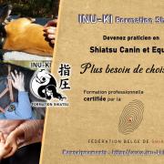 Formation combinee affiche
