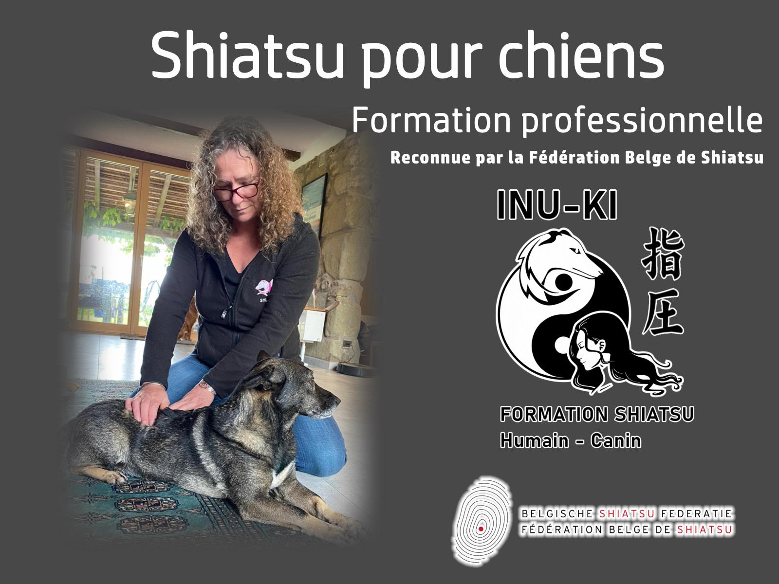 Formation shiatsu chien