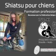 Formation shiatsu chien
