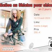 Initiation shiatsu canin 12 13 08 fb event