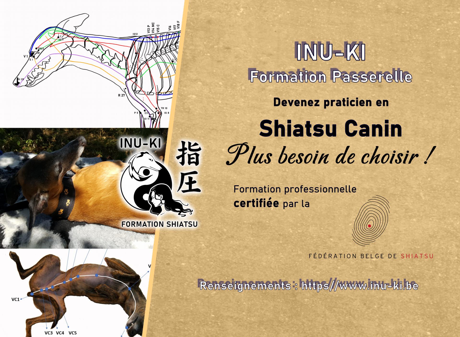 Passerelle shiatsu canin