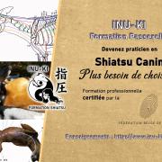 Passerelle shiatsu canin