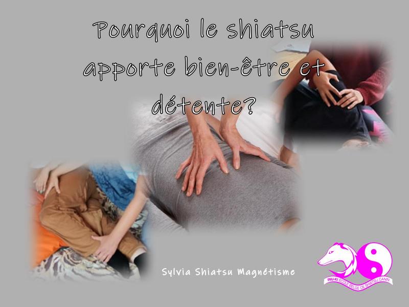 Pourquoi le shiatsu apporte bien etre