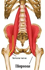 Psoas