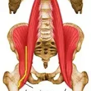 Psoas