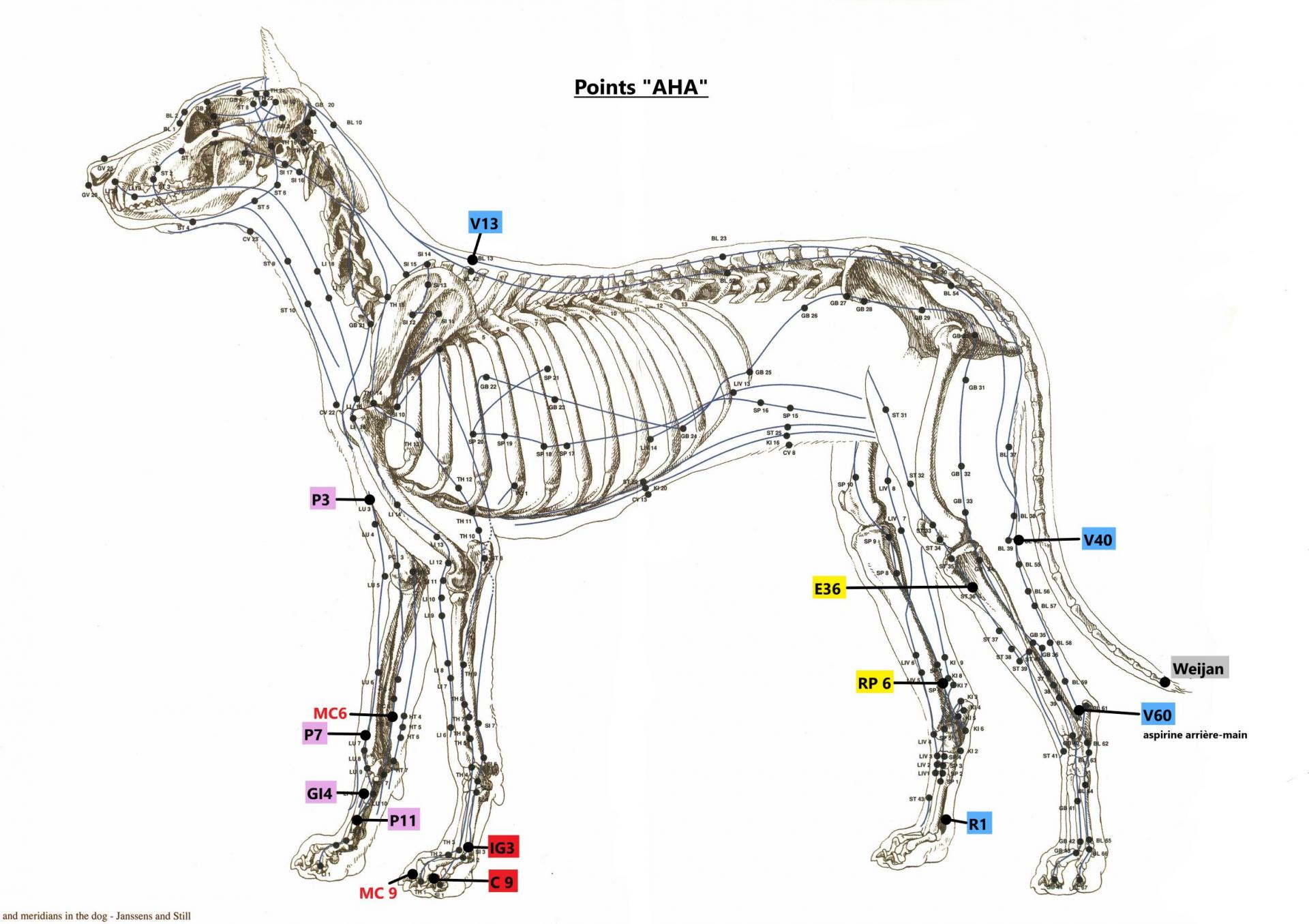 Pts aha site