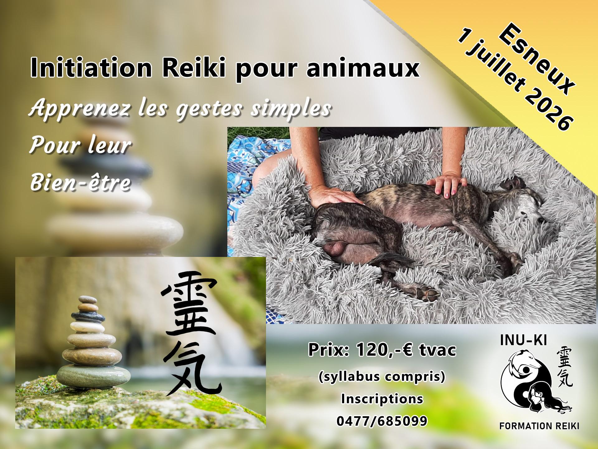 Reiki animaux 